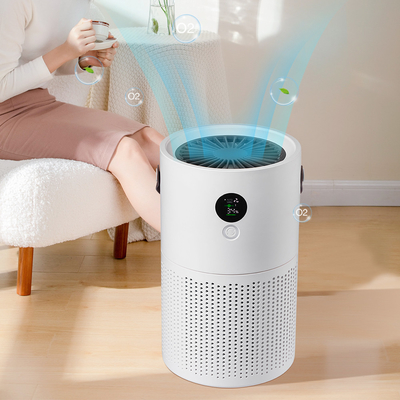 HEPA H12 Ev Ev Ev Tipi Taşınabilir Hava Temizleyici